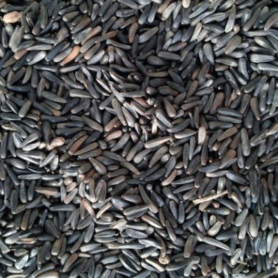 Niger Seeds