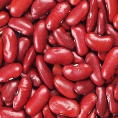 rajma red